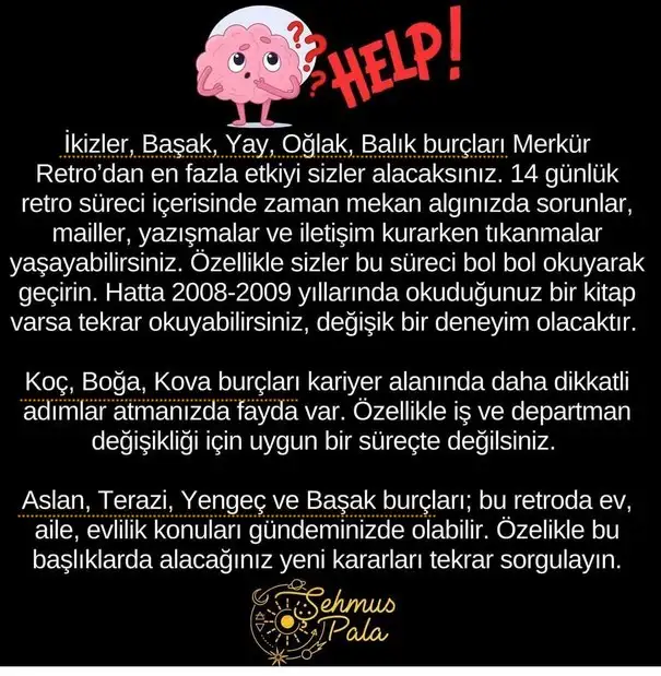 mer1.webp
