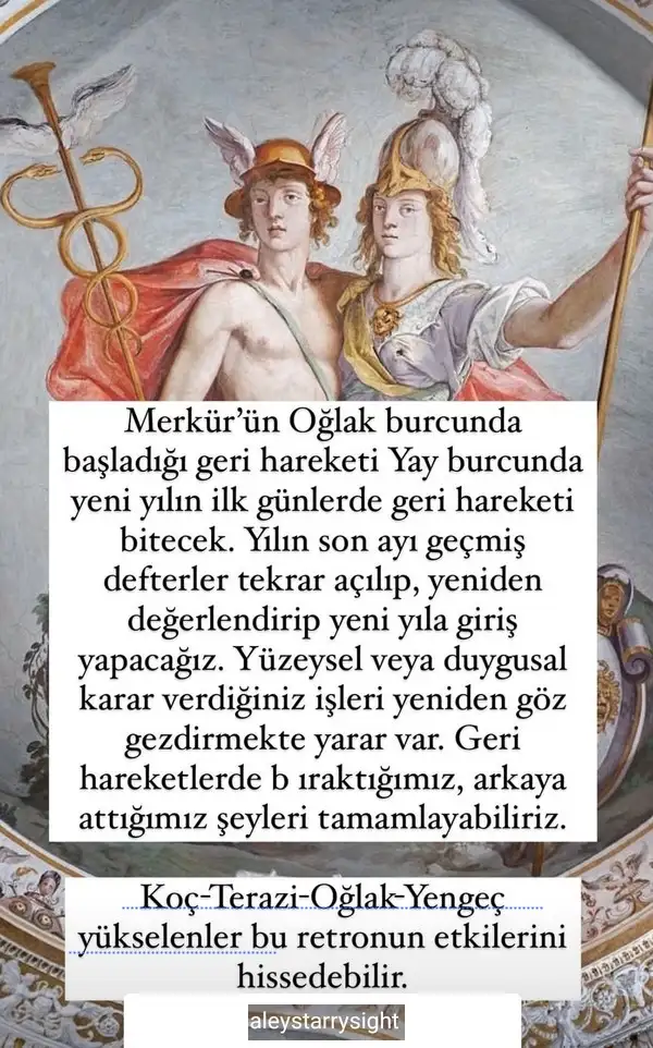 mer10.webp