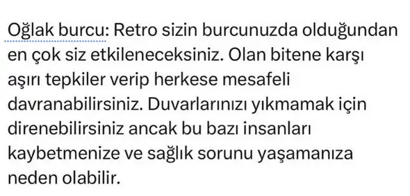 mer11 (10).webp