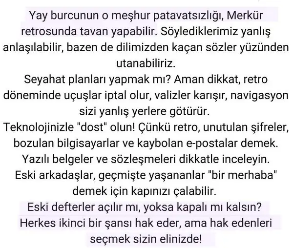 mer11 (2).webp