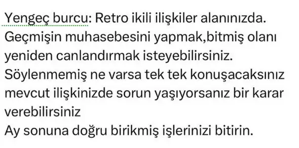 mer11 (4).webp