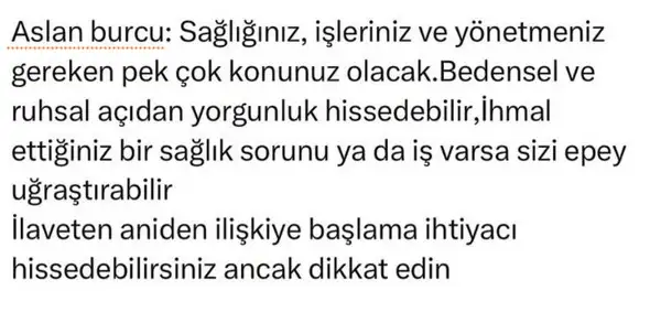 mer11 (5).webp