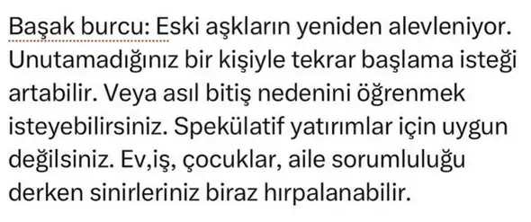 mer11 (6).webp