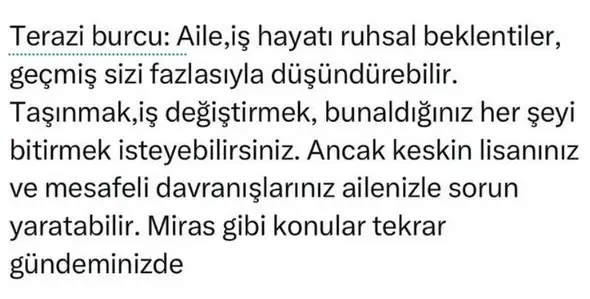 mer11 (7).webp