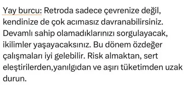 mer11 (9).webp