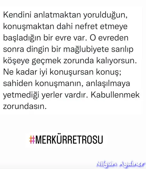 mer11.webp