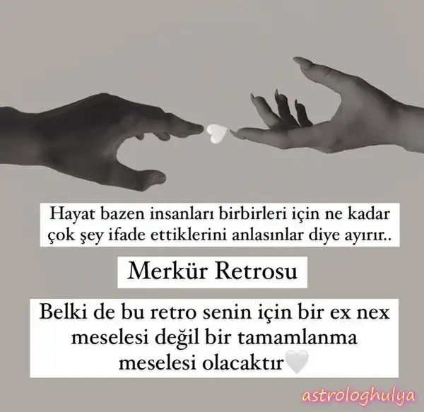 mer11.webp