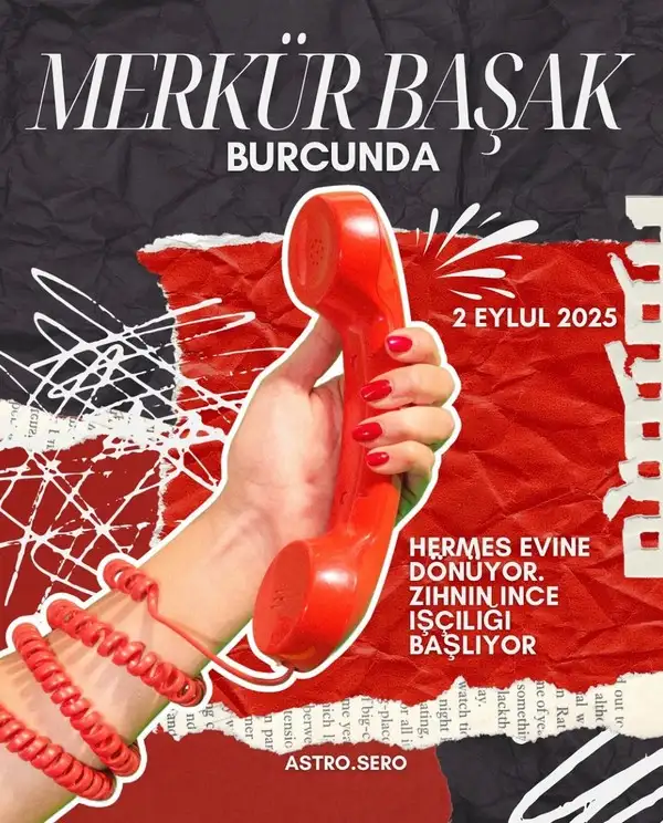 mer12 (1).webp