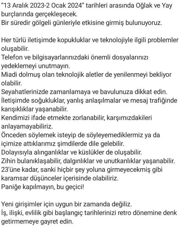 mer12 (2).webp