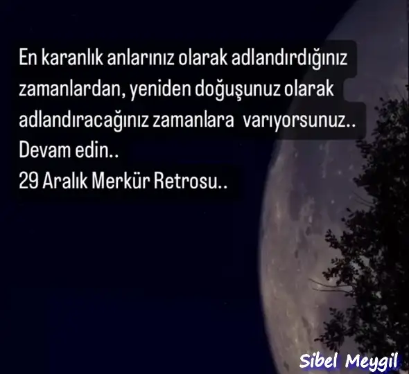 mer12.webp