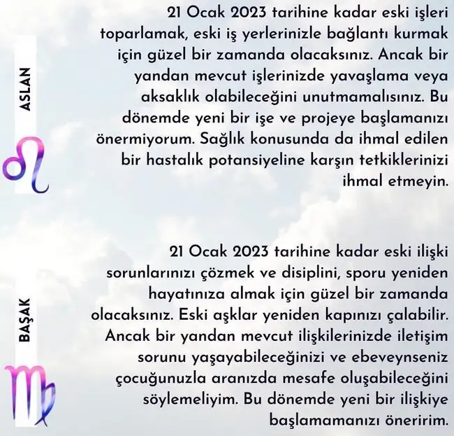 mer13 (3).webp
