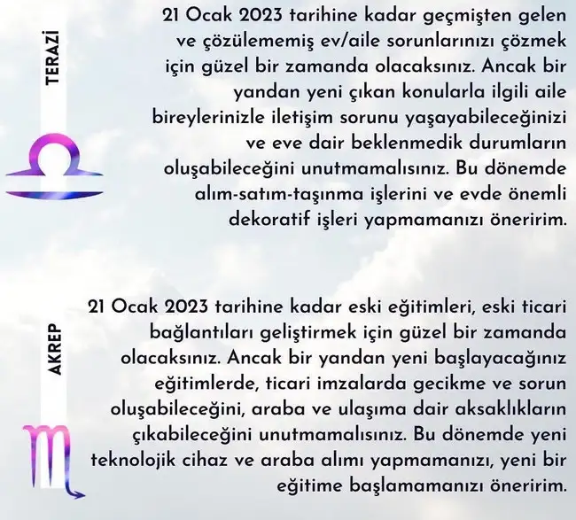 mer13 (4).webp