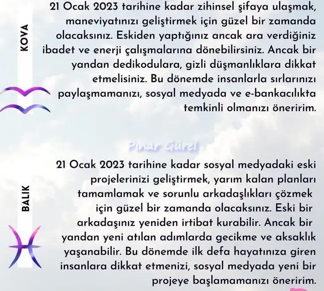 mer13 (6).webp