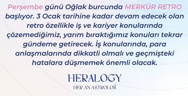 mer13.webp