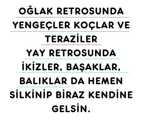 mer14 (2).webp