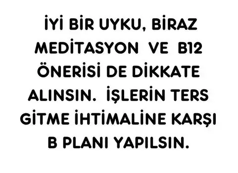 mer14 (5).webp