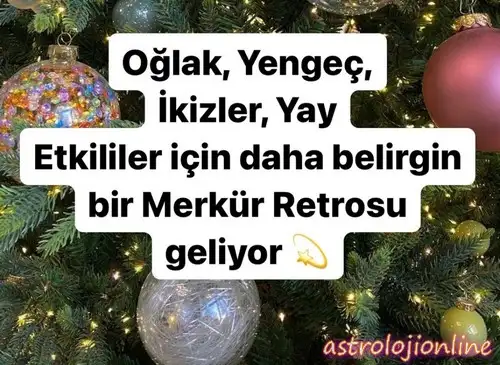 mer14.webp