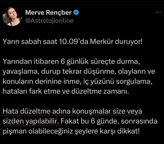 mer15.webp