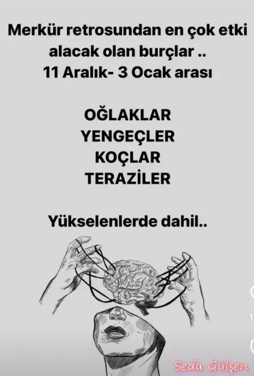 mer16.webp