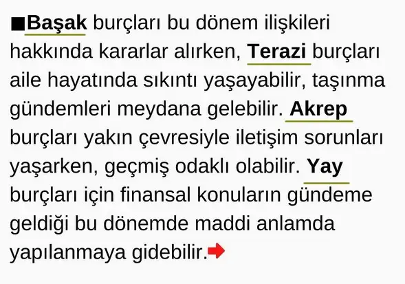 mer17 (3).webp