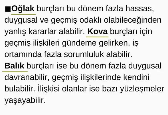 mer17 (4).webp