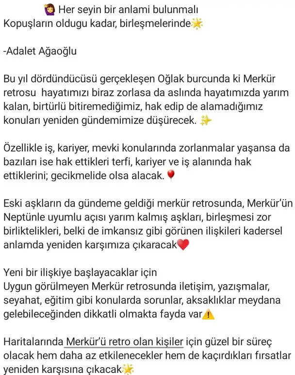 mer17 (5).webp