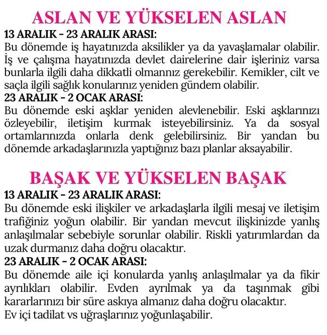 mer18 (4).webp