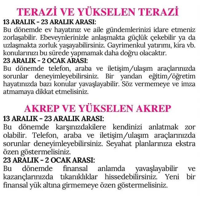 mer18 (5).webp