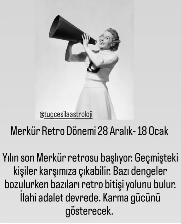 mer19 (1).webp