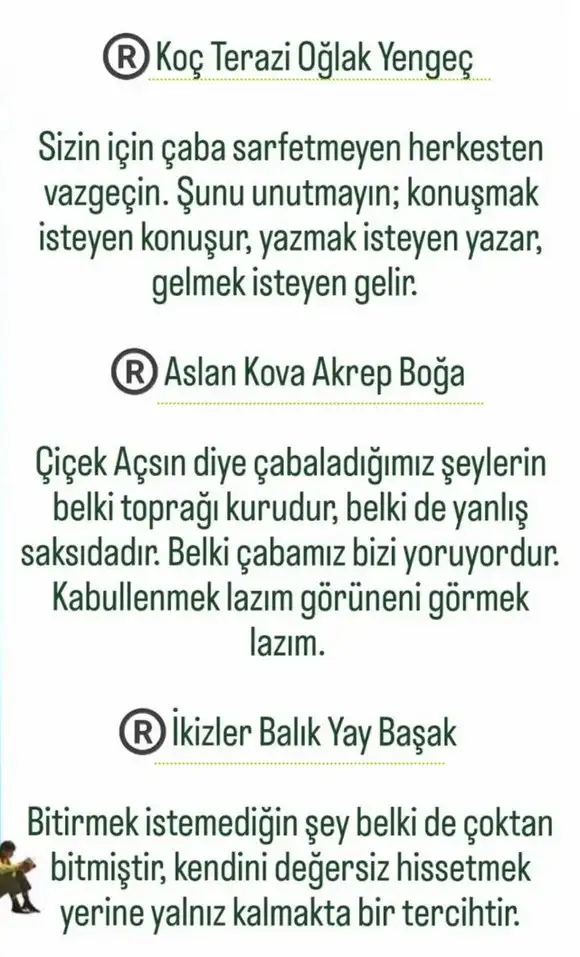 mer19 (2).webp
