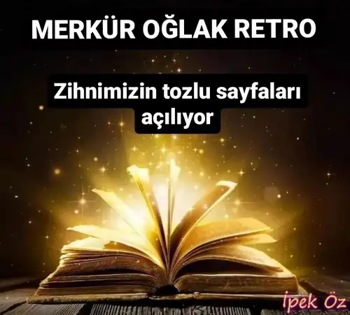 mer20 (1).webp