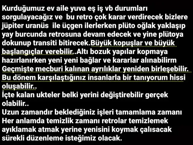 mer20 (3).webp