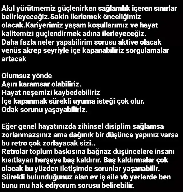 mer20 (4).webp
