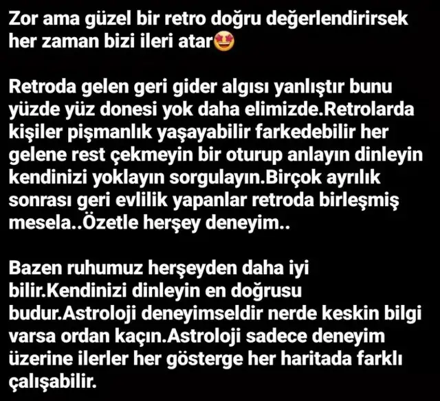 mer20 (5).webp