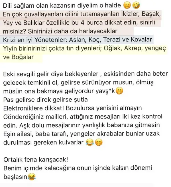 mer21 (2).webp