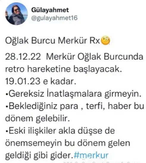 mer21.webp