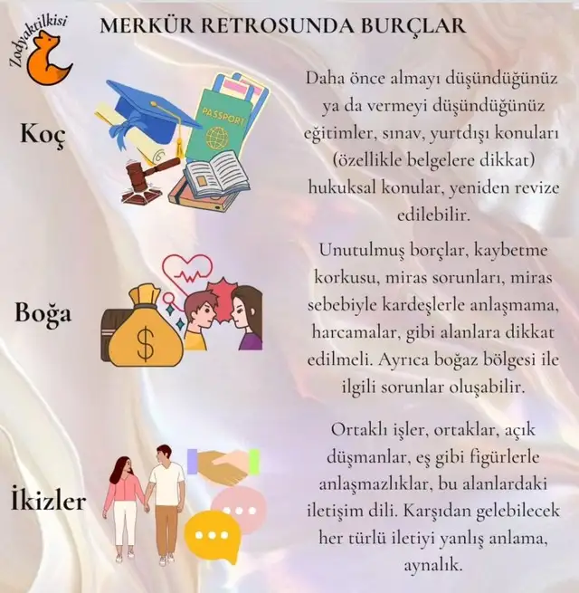 mer22 (1).webp