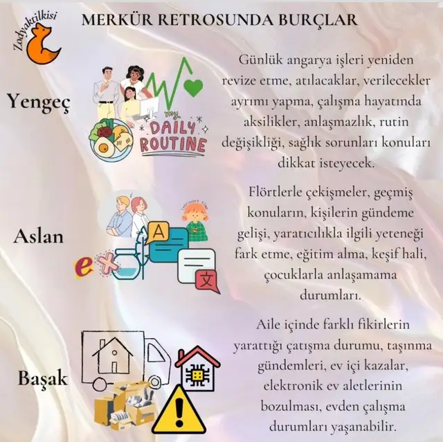 mer22 (2).webp