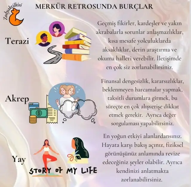 mer22 (3).webp