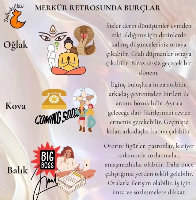 mer22 (4).webp