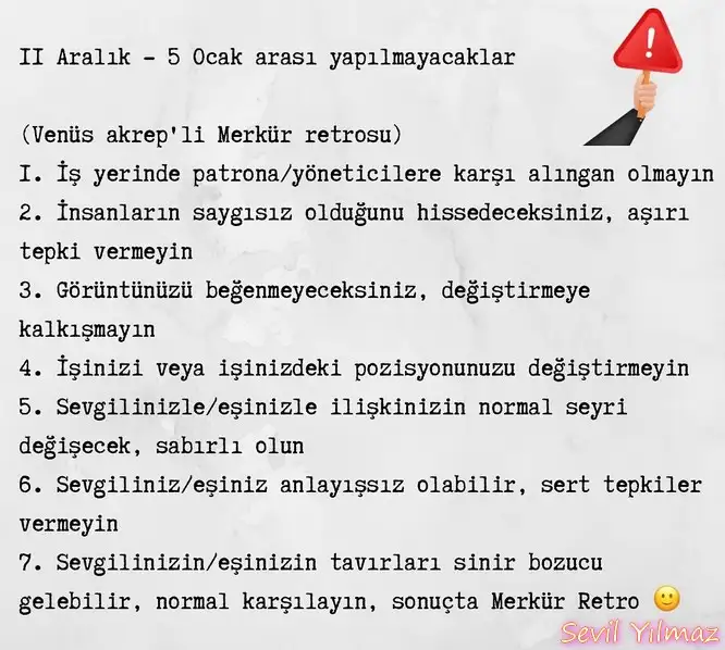 mer34 (1).webp