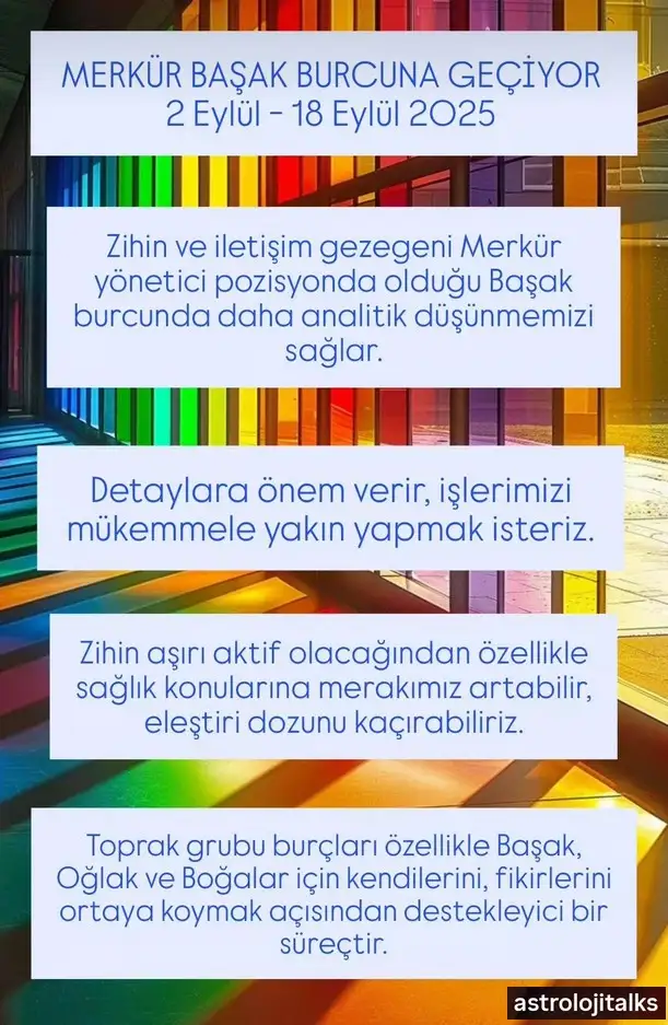 mer4 (1).webp