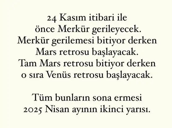 mer4 (2).webp