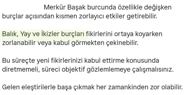 mer4 (2).webp