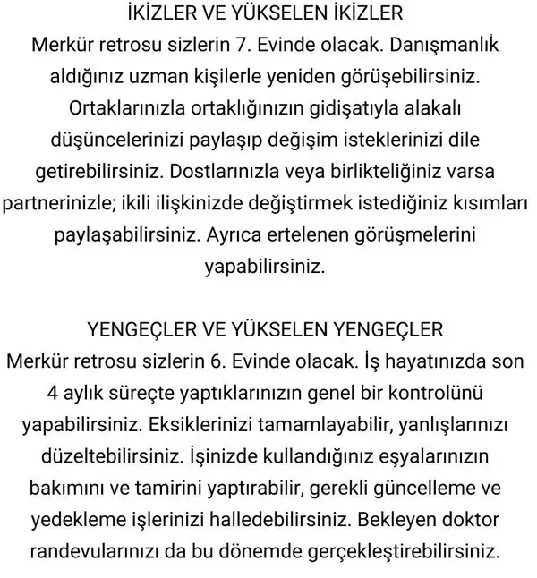 mer4 (3).webp
