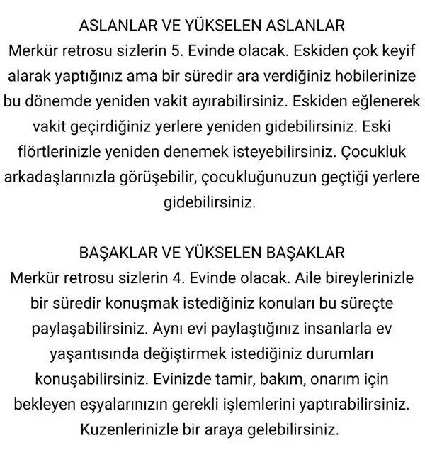 mer4 (4).webp