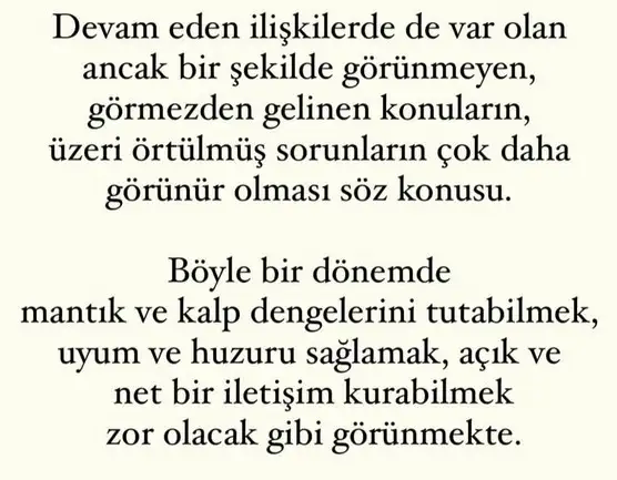 mer4 (6).webp