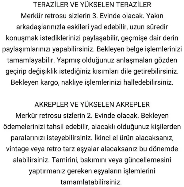 mer4 (6).webp