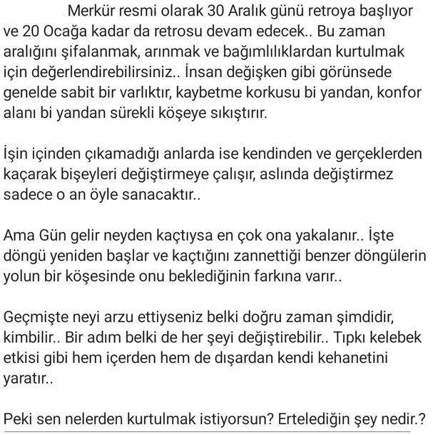 mer4 (7).webp