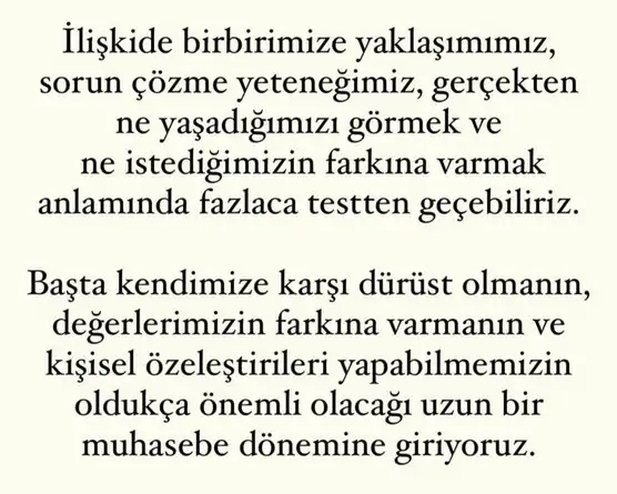 mer4 (7).webp